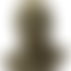 פרק 92 מונגש - על התהילה ועל טימור הצולע