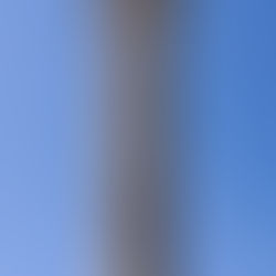 פרק 219 על זקיפות הקומה