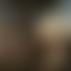 פרק 205 התרופה לעלבון