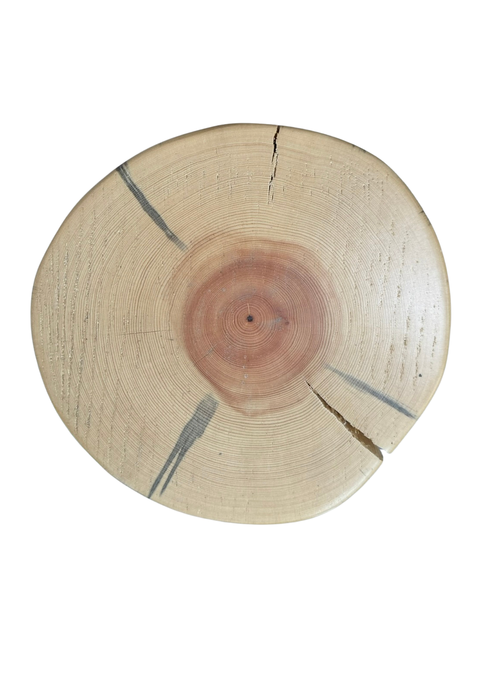 Thumbnail: Heritage Pine Stump / Plant Stand / Side Table - Clear Natural Lacquer