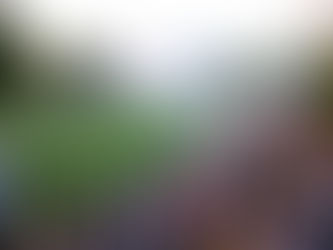 Tudo Nosso garante o troféu da 1ª Divisão de futebol em Taboão da Serra