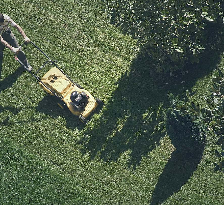 Vans Mowing & Landscape photo 1