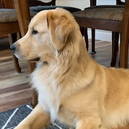 Nova 1_edited_edited.jpg