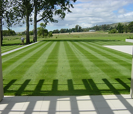 Bel Air Lawn Care And Lawn Service