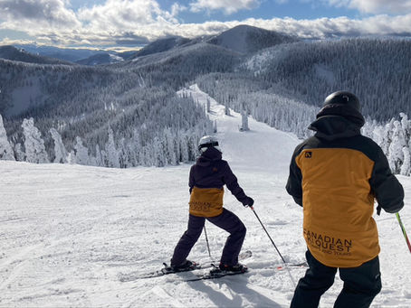 The Professional Ski Instructor's Mandate: The Power of Constant Observational Awareness