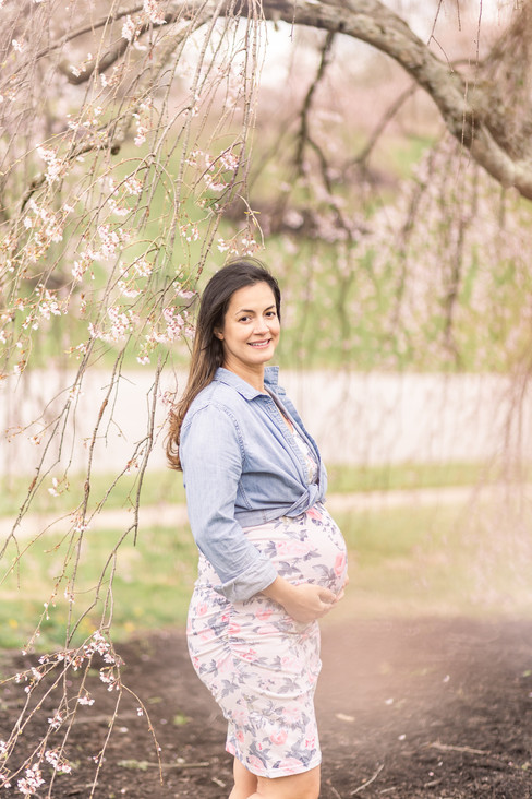 maternity photo with cherry blossoms