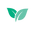 hojas.png