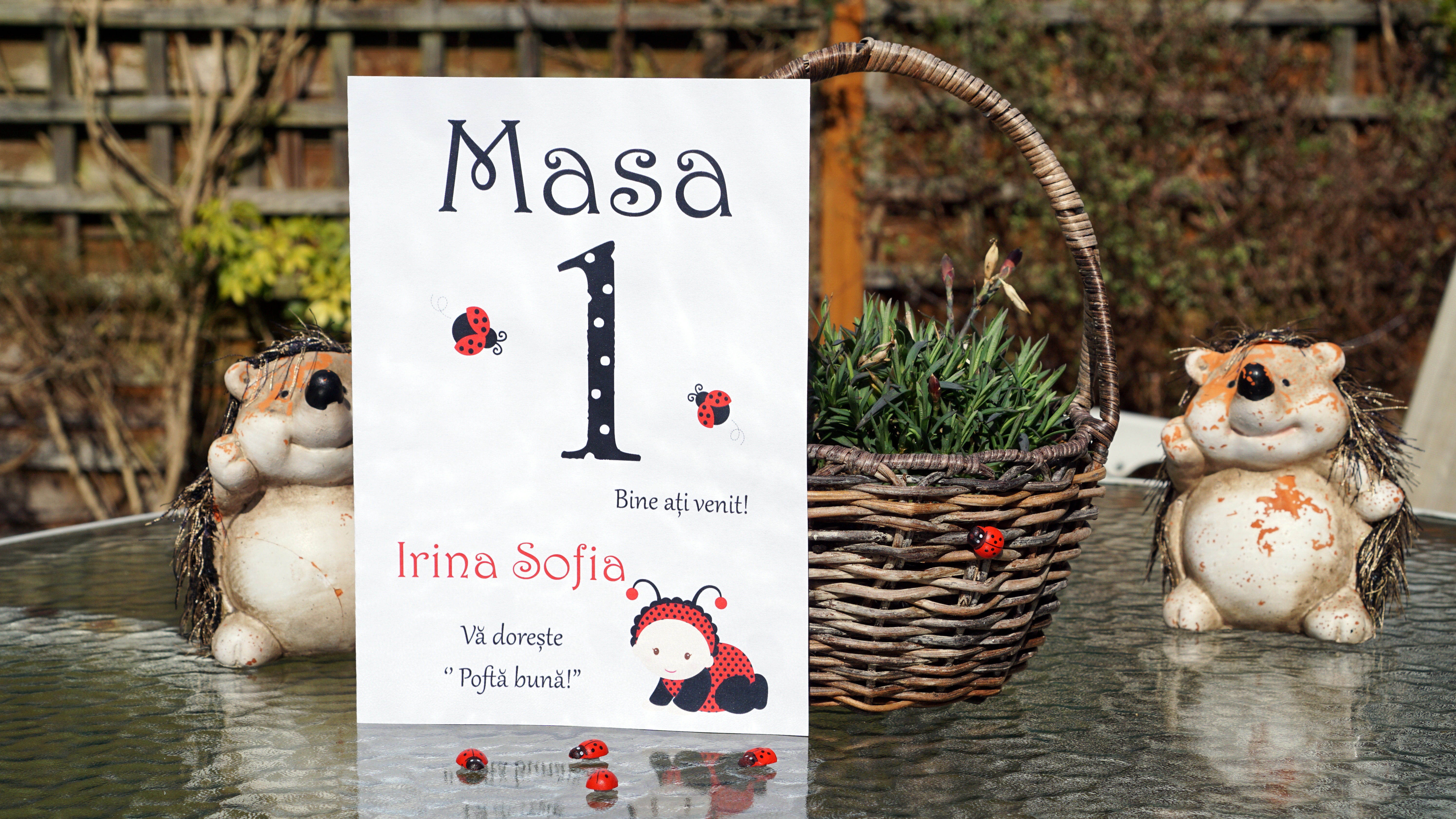 Numar de masa cod 597