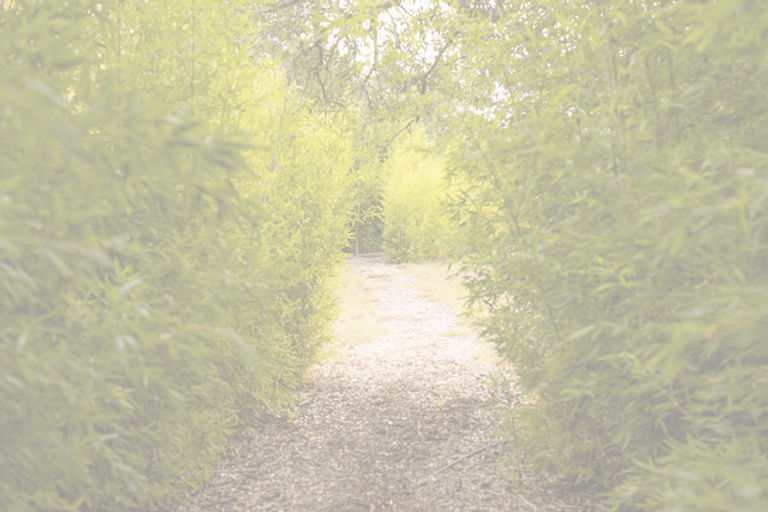 WisdomPathways_016 (1)_edited.jpg