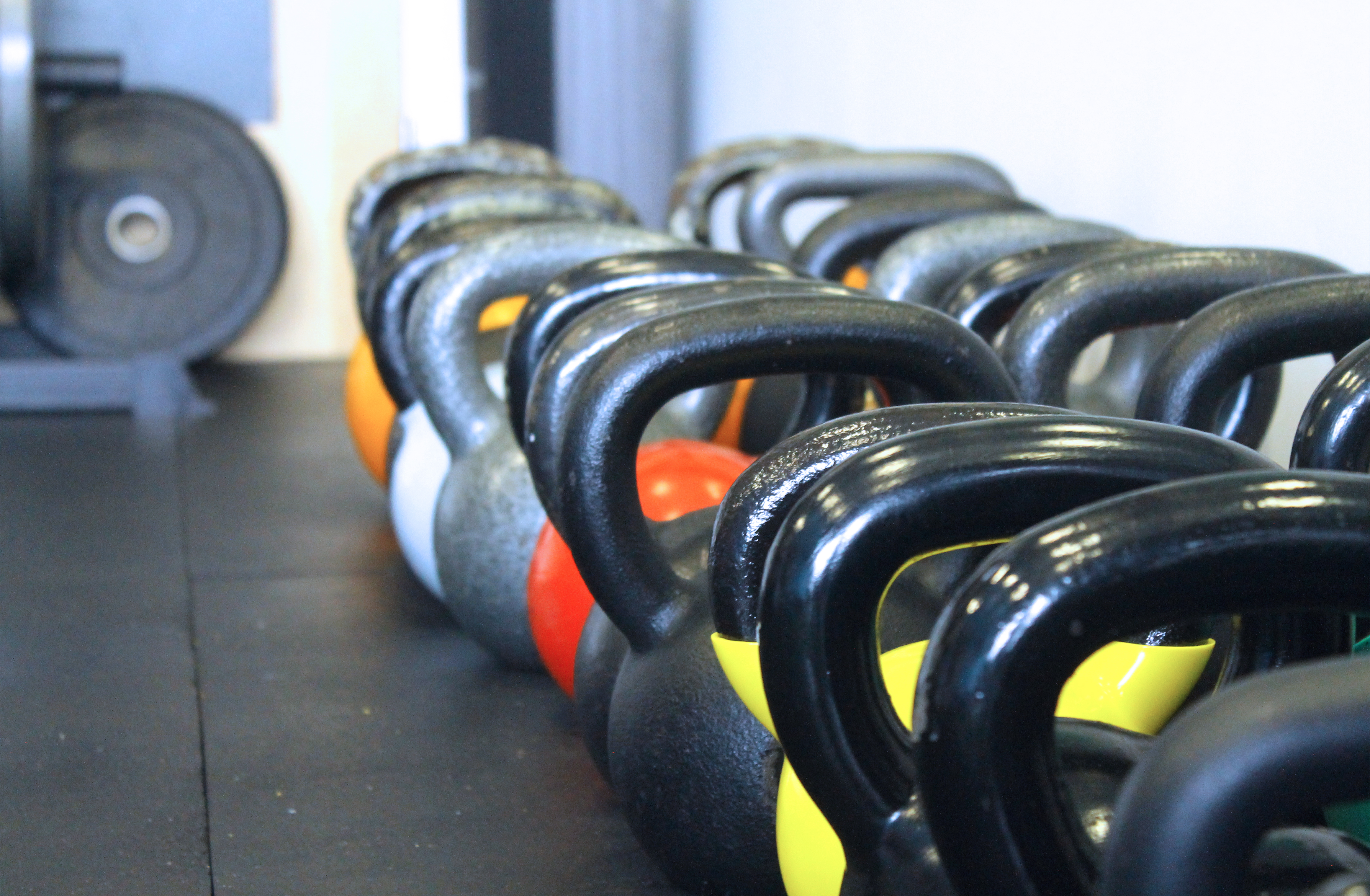 THE EQUIPMENT