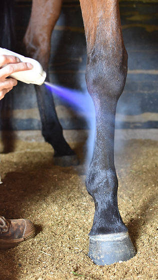 High+Suspensory_edited.jpg