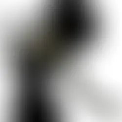 They Thought Firing Me Would Silence Me