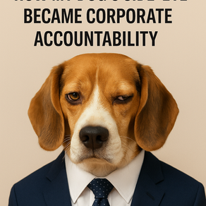 From PTSD to PetTok: How My Dog’s Side-Eye Became Corporate Accountability