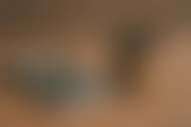 Eine Mäusefalle passend zum Text 5 zu vermeidende Top Steuerfallen für Unternehmen