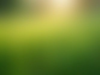 Why Your Lawn Struggles Even With Fertilizer