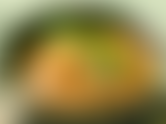 Lentejas con verduras y arroz