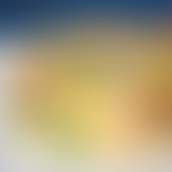 Risotto de vegetales