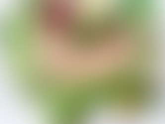 Deficiencia de vitamina K: un actor emergente en las calcificaciones vasculares y consecuenciasadve