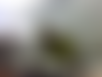 Qantas: Oxygen cylinder explosion