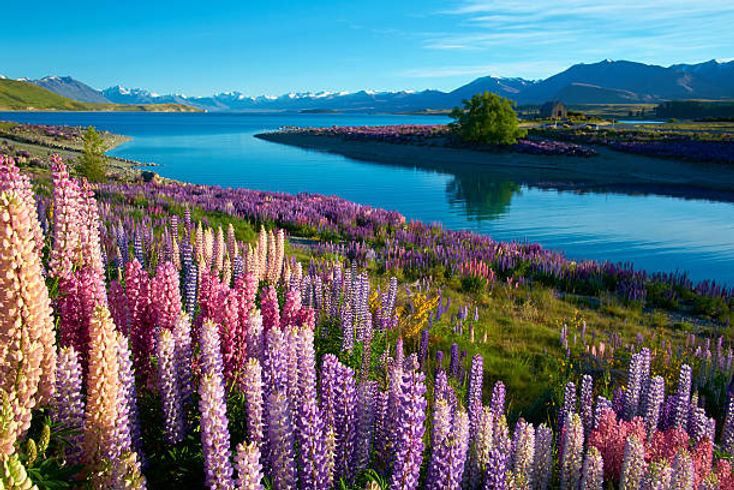 istockphoto-496267890-612x612.jpg