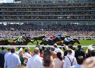 racecourse.jpg