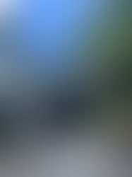 魚の目にもあたらず楽に歩けて感動しました《50代自営業のお客様のお声》