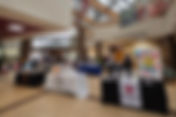C3 @ Livonia Different Abilities Fair