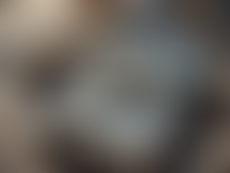 Exploring the Heartfelt Narrative of Occam's Razor