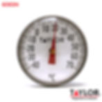 Miniatura: TERMOMETRO TAYLOR 6065N