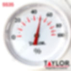 Miniatura: TERMOHIGROMETRO TAYLOR 5535