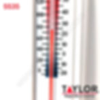 Miniatura: TERMOHIGROMETRO TAYLOR 5535