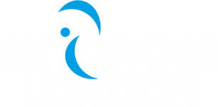 ROGER DAVIS SPONSOR LOGO.png