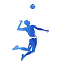 voleibol.png