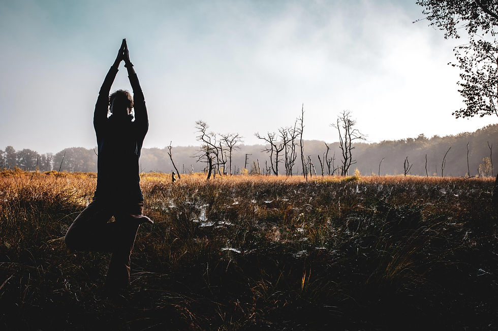 WhatsApp Image 2026-02-06 at 1.51.10 PM.jpeg