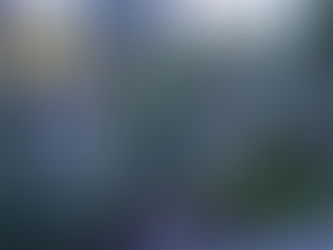 Tesori di Puglia: l’Orto botanico La Cutura