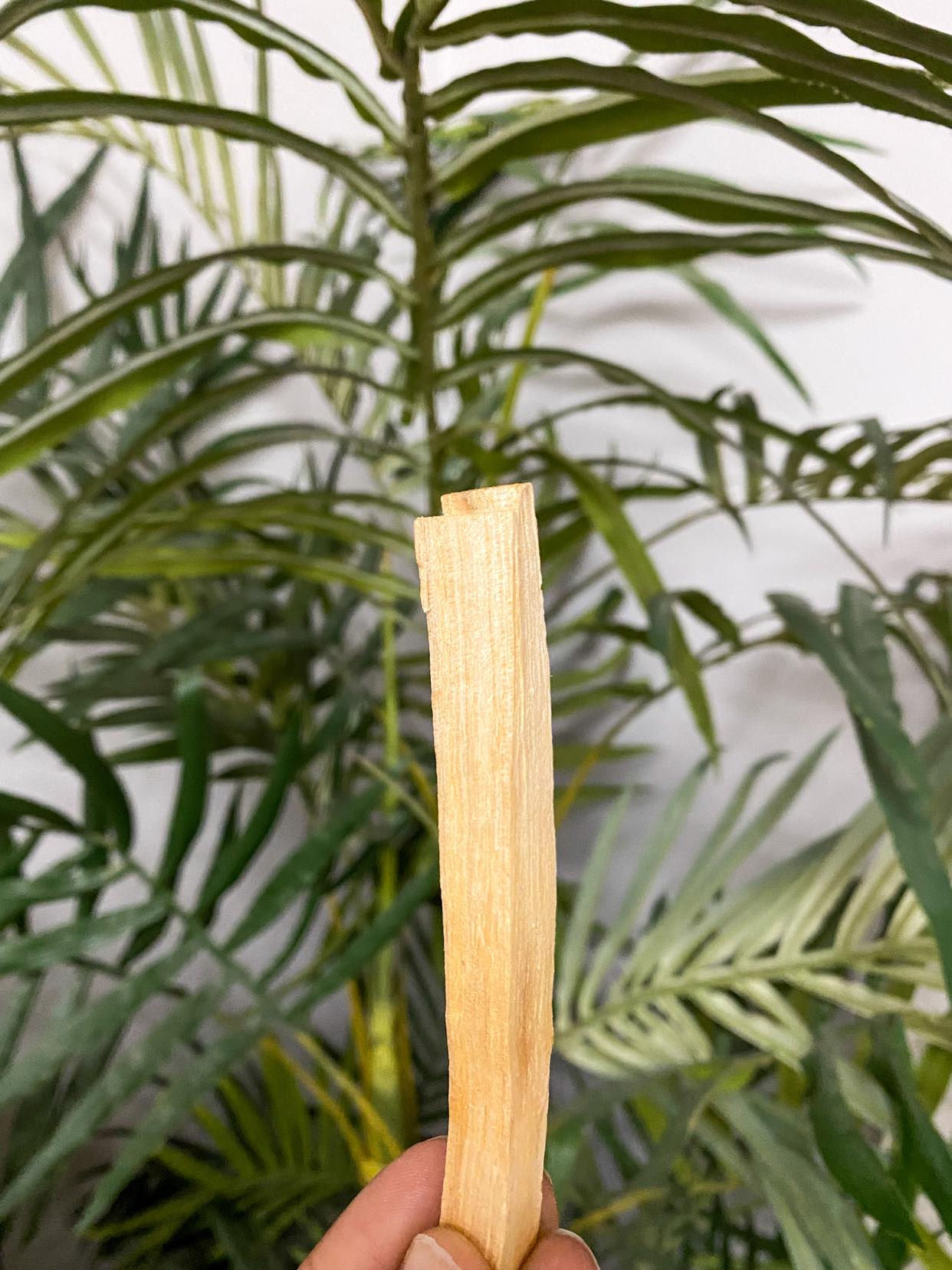 Palo Santo Smudge Stick
