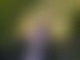 Nghi & Adam's Wedding