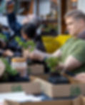 Bellevue Bonsai Class-1_edited.jpg