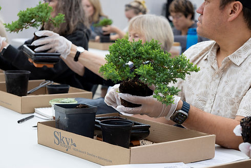 Sky Nursery Sept 2025 4.jpg