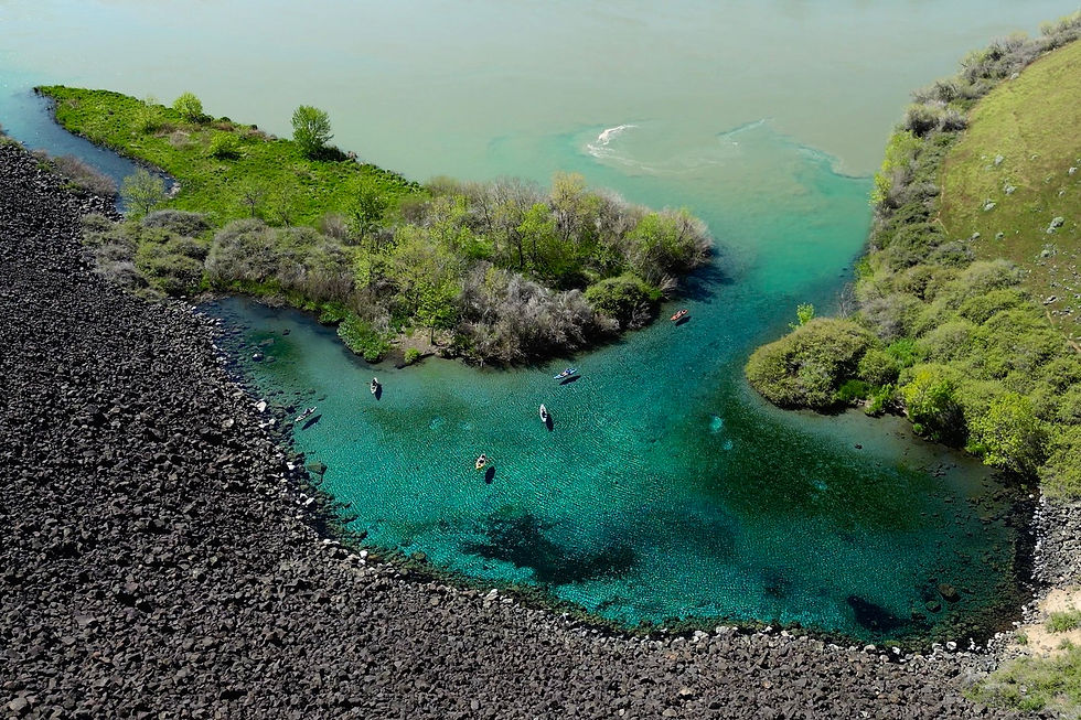 Ariel View Blue Heart Springs