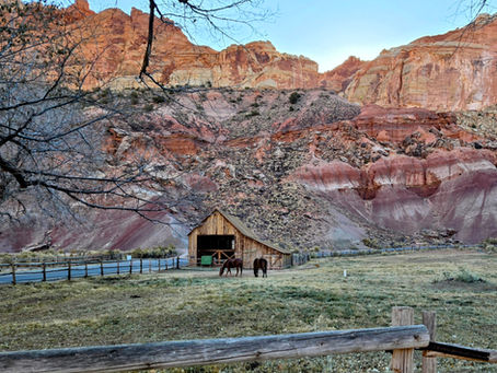 From Denmark to the Golden Throne: Exploring Capitol Reef’s 5 Best Hikes