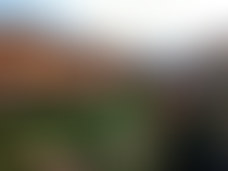 Fruita District Capitol Reef National Park