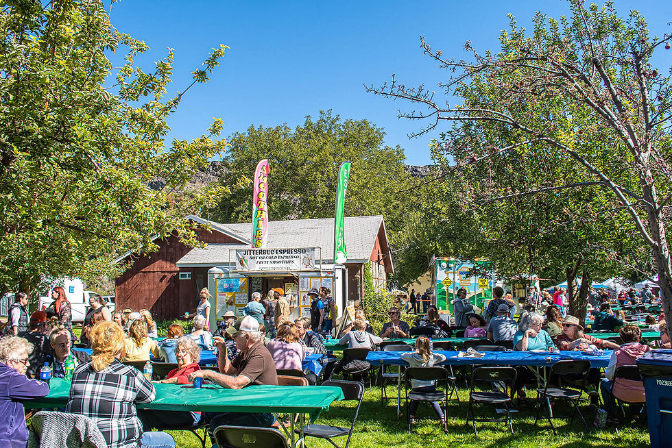 Crowd enjoying an outdoor event under clear blue skies. People sit at green-covered tables near food stalls. Trees and banners in the background.