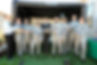 Wedding Sim.jpeg