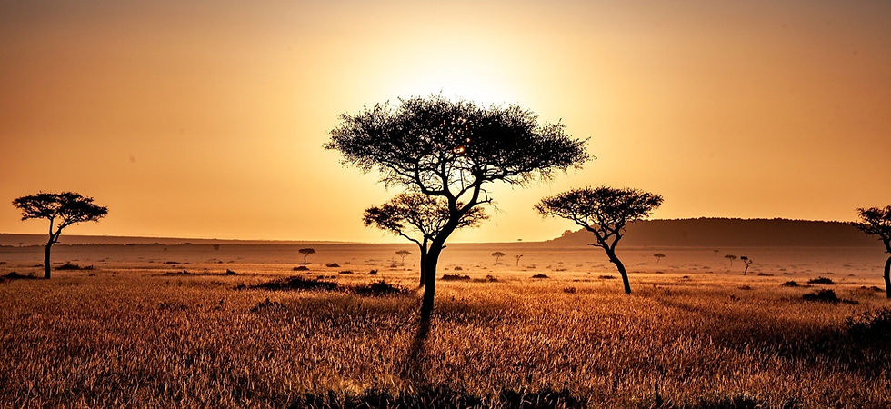 kenya-4119572_1920_edited.jpg