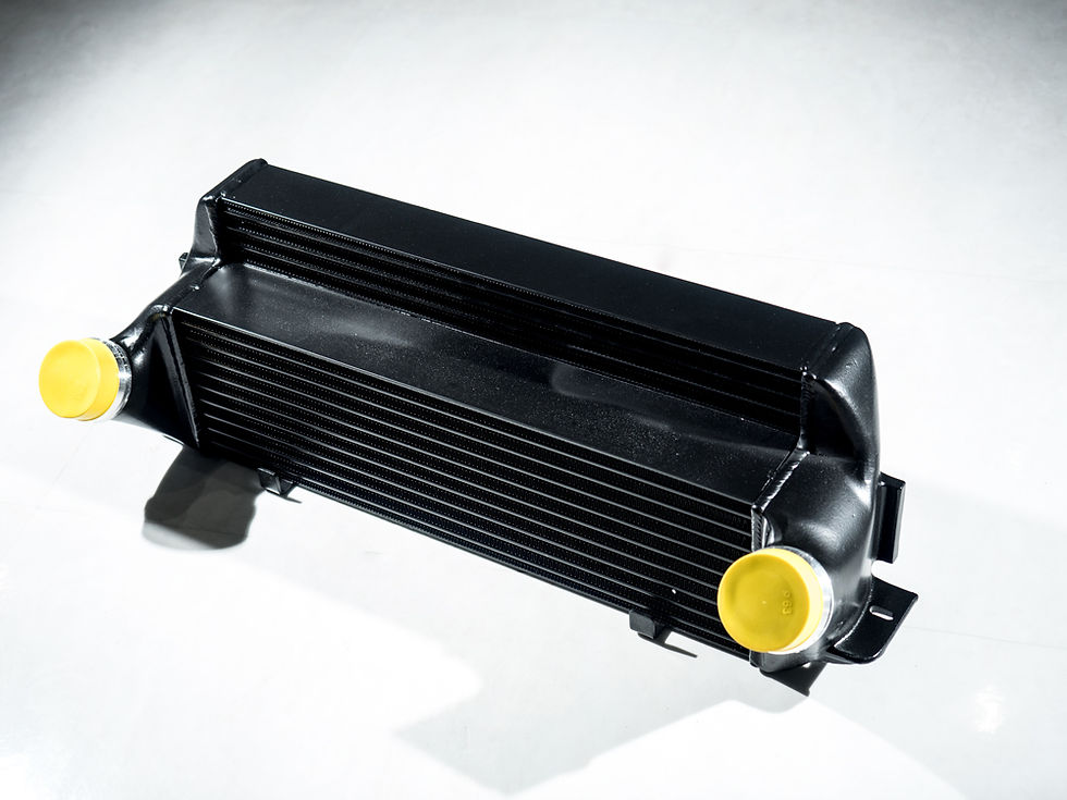 サムネイル： IP520-FN INTER COOLER For BMW F2X/F3X N55/N20Motor