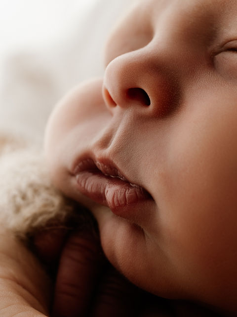 Cambridge and Chelmsford - North London Hertford and Bishops Stortford Baby and Family Portrait Photographer - Baby Photoshoot Essex - Bishops Stortford Photographer - Essex