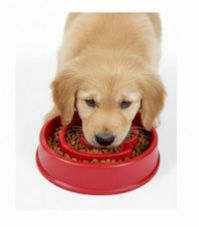 縮圖：PLATO ANTIESTRES PARA MASCOTA @ AZUL