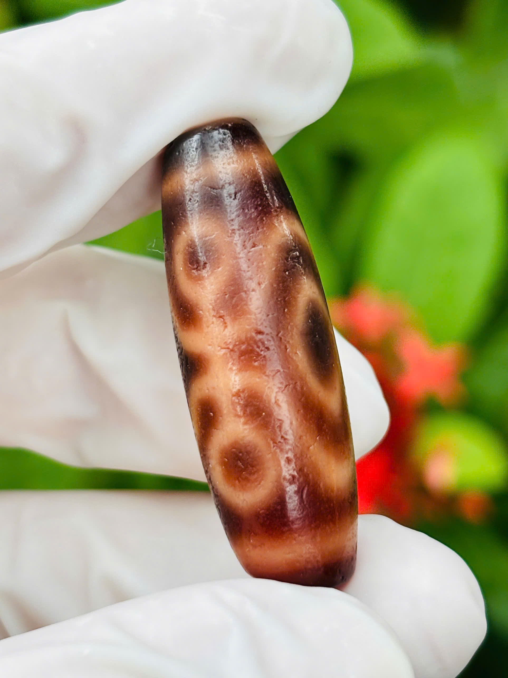 DZI 6 MẮT QUÝ NHÂN motif ít gặp
