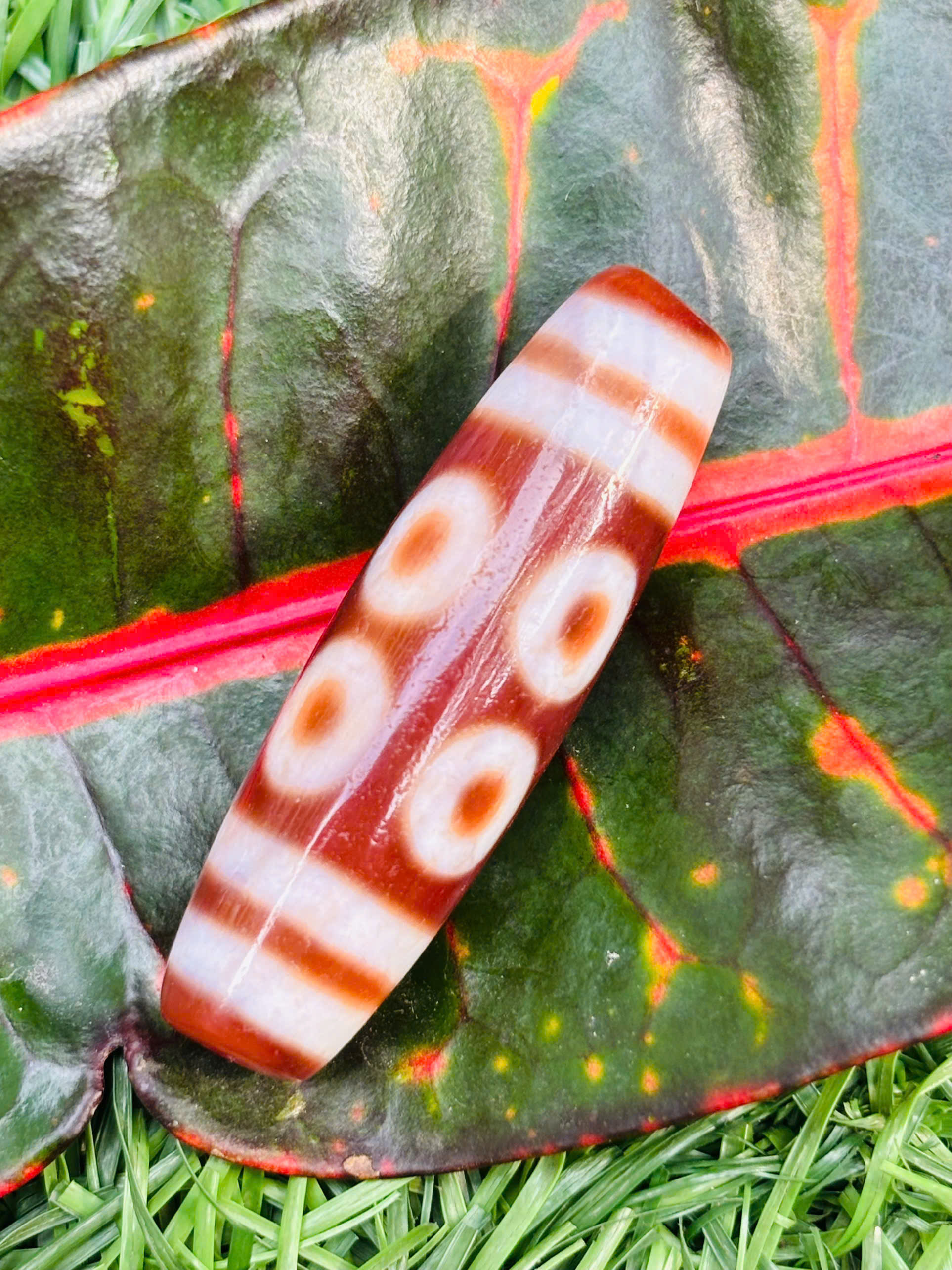 DZ 8 MẮT